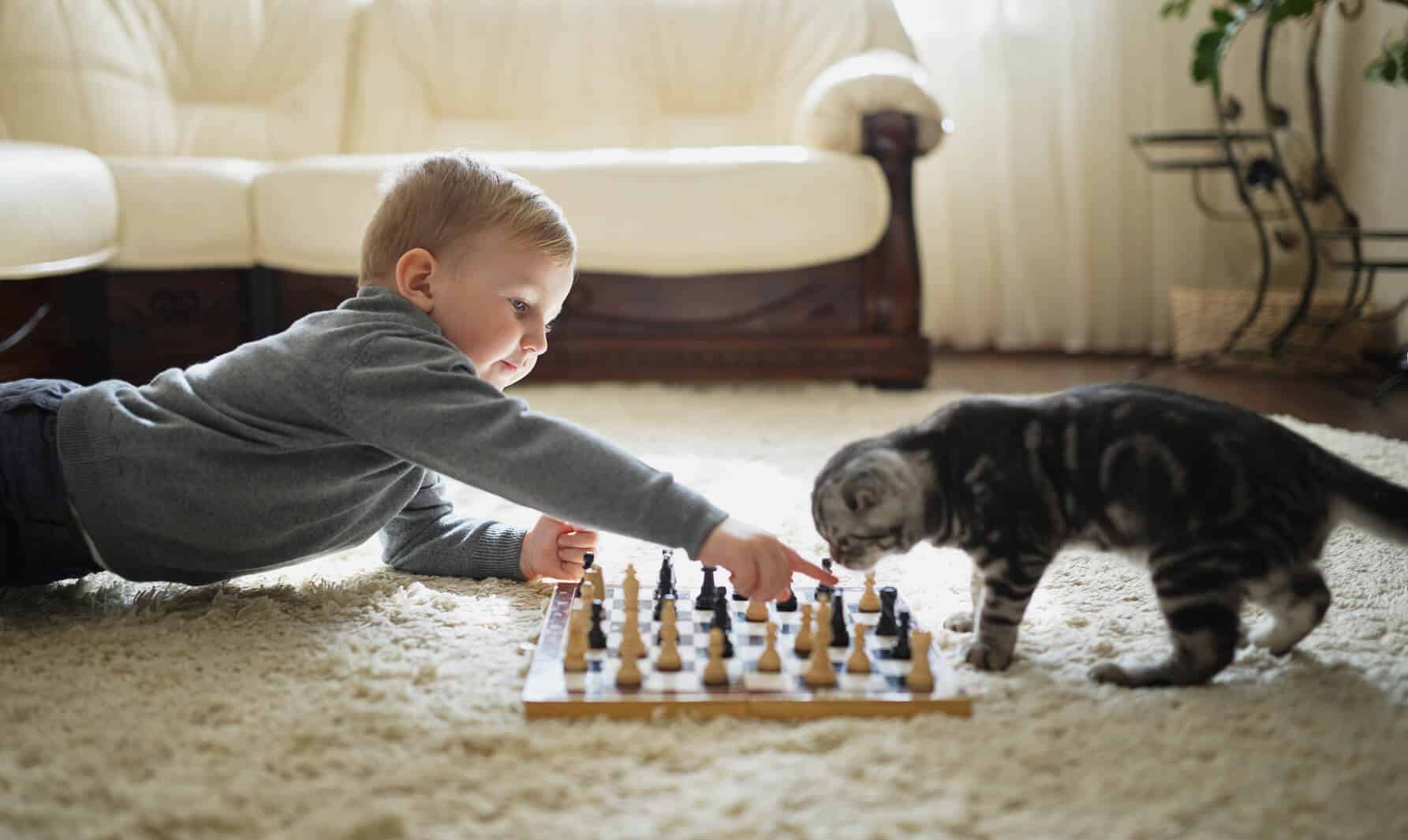 A Boy playing chess with a Cat